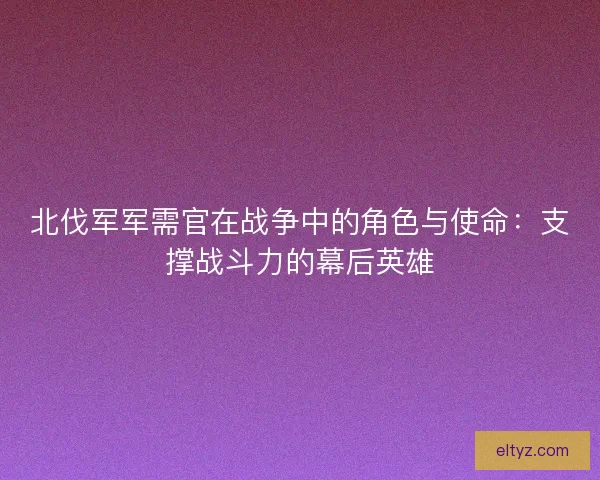 北伐军军需官在战争中的角色与使命：支撑战斗力的幕后英雄